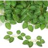 TNSLAND 60 Pezzi Foglie Artificiali, Foglie Finte per Decorazioni, Foglie Finte Artificiali con Sei Foglie Verdi con Steli per Decorazione Della Casa, Matrimonio, Della Festa, Ghirlanda, DIY (Verde)