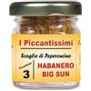 I Piccantissimi - HABANERO BIG SUN peperoncino piccantissimo in vasetto da (13 gr) - Scaglie di Peperoncino a lunga coltivato in Italia (350.000 SHU)
