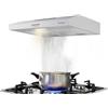 Gasland Chef SR60SP 60cm Cappa Aspirante Sottopensile, Montaggio a Parete Cappa 220m³/h, Cappa a Parete, Con 2W LED