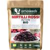 Amoseeds Mirtilli Rossi Interi BIO 1KG | Disidratati, Senza Zucchero, Infusi con Succo di Mela Bio | Vie Urinarie, Gustosi | Qualità Superiore