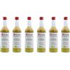 Pure Ginger Zenzero puro - zenzero biologico peruviano di alta qualità senza zucchero e additivi artificiali 100% biologico (DE-ÖKO-005), 6x500ml