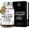 AAVALABS Shilajit Himalayano Puro Capsule 36000mg Estratto 30:1 Standardizzato 50% Acido Fulvico - Mumijo Shilajit Puro Alta Qualità - Pure Shilajit Integratore Energia Fisica e Mentale, Immunità - 90 Capsule