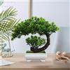 AIZHAZHA Bonsai Finto, Bonsai Artificiale Realistico, Pianta Finta da Interno Bonsai, Albero Bonsai Artificiale, Piantina Finta Decorativa, per Tavolo Scrivania Soggiorno Mensole Balcone Ufficio