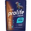 Prolife Cane Dual Fresh Adulto Mini Salmone, Merluzzo & Riso Busta 100 Gr