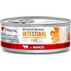 Disugual Gatto Diet Intestinal Manzo 85 Gr