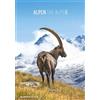 Alpha Edition The Alps 2025 - Calendari da parete 23,7 x 34 cm