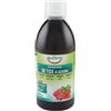 Equilibra Detox 4 Azioni Integratore Benessere dell'Organismo 500 ml
