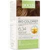 IST.GANASSINI SPA Bioclin Bio-Colorist 6.34 Biondo Scuro Dorato Rame Tintura Naturale Capelli