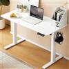 WOLTU Scrivania Regolabile in Altezza Elettrica 120x60cm, Scrivania per Computer con Gestione dei Cavi e Ganci, Scrivania Ufficio Tavolo Bianco Sit-stand con 4 Controllo Memoria, TS177ws01