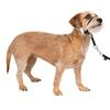 PetSafe Collare e guinzaglio Delicato con Dvd per addestramento