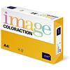 IMAGE Coloraction 838A 160S 5 Antalis - Carta per fotocopie, DIN A4, 160 gr/mq, colore: Oro corallo