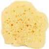 Cose della Natura Spugna Naturale di Mare Fine Dama Sbiancata 5/6 gr - EXTRA SOFT - VISO E BIMBI