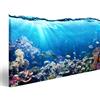 islandburner Quadri Moderni Scena Subacquea con barriera corallina e Pesci Tropicali Stampa su Tela - Quadro x poltrone Salotto Cucina mobili Ufficio casa - Fotografica Formato XXL DYK