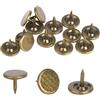 Jenngaoo 100 Pezzi Puntine per Tappezzeria, Puntine da Disegno a Testa Piatta Assortimento Kit Chiodi per Mobili Forniture Artistiche in Ferro Accessori per Decorazione Divano Porta - Bronzo Ciano(14 x 20MM)