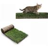 PratoErboso GreenZolla - L' Originale Lettiera per Gatti in Erba Vera Naturale, Traversina 100% Naturale Cuccia per Gatti in Vero Prato, Zona Gioco e Relax per Animali Misura Maxi