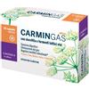 Carmin Gas Plus 45 Capsule pz