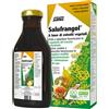 SALUS HAUS Gmbh & Co KG Salufrangol Estratto 250 ml - Per la Regolarità del Transito Intestinale e La Funzione Digestiva