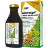 SALUS HAUS Gmbh & Co KG Salufrangol 250ml