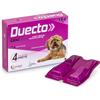 Alfamed s.a. Duecto Candioli antiparassitario per cani da 1,5 a 4 kg - 4 pipette