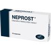 DIFASS INTERNATIONAL SpA NEPROST 10SUPP