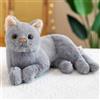 Uposao Gatto Giocattolo Peluche Simulazione Del Gatto Realistico Ragdoll Gatto Figa Peluche Bambola Giocattolo Gattino Figura Farcita Ornamento Kitten Modello Gatto Animale