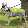 VICTORIE Impermeabile per Cani Poncho Antipioggia Neve Vestiti Mantellina Cappuccio Riflettente Regolabile per Medie e Grandi Cani Animali Verde S