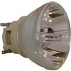 BENQ 5J.JHN05.001, 5J.JHN05.A01 LAMPADA PHILIPS SENZA SUPPORTO (SOLO BULBO)