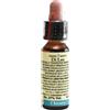 Laboratorio Erboristico DI LEO Fiori Di Bach 8 Chicory 10 Ml Leo ml Soluzione orale