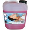 WATER LINE WATER SAN Tanica da 5 kg Detergente IGIENIZZANTE Profumato per la pulizia delle superfici circostanti la piscina