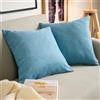 Blumtal Federe Cuscini Divano in Ciniglia, Copricuscini Divano, Federe Cuscino Divano, 2 Pezzi, 60 x 60cm, Blue
