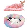 YiCTe Cuccia per Gatti Letto per Cani Letto Rotondo in Peluche Gatto Tondo per Animali Cuccia Cuscino per Ciambelle Lavabile Domestici per Gatti e Cani di Taglia Grande Media Piccola Diametro 70 cm