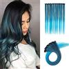 SEGO Extension a clip per capelli colorati lisci - Extension clip per capelli highlight - Aggiungi capelli clip arcobaleno arcobaleno multicolore - 50 cm nero scuro [10 pezzi 1 clip]