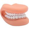 Fyearfly Burattino per Bocca, burattino per logopedia, bambola a bocca con Lingua 28 Denti in Silicone Logopedia Dimostrazione Modello di Denti per Insegnamento dei Bambini