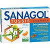 PHYTO GARDA Srl SANAGOL TUSSIS ARANCIA 24CAR