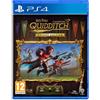 Warner Bros Harry Potter: Campioni di Quidditch, PlayStation 4
