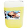 WATER LINE WATER CLEAN Tanica da 10 kg - Prodotto professionale sgrassante per la pulizia dei bordi, pareti e teloni piscina