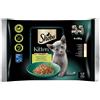 Sheba Selezione Assortita Kitten Busta Multipack 4x85G SALMONE E POLLO