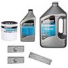 quicksilver kit tagliando motore fuoribordo mercury f40/60 efi 4lt olio + filtro + anodi