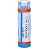 HERING Srl HE.ARNICA MONTANA 9CH