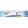Boiron Lachesis Mutus 9ch Granuli