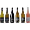 PARTNER WINE Vino offerta 6 bottiglie miste di vino Verdicchio, Passerina, Pecorino, Rosato di Tenuta San Martino