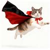 Dream HorseX Cane Halloween Costumes, Costumi di Halloween per Animali Domestici per Decorazione di Cosplay, Costume da Gatto per Animali Domestici, Cucciolo Cloak Halloween