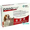Panacur 250mg 10 Compresse