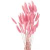 FENGCHUANG Code di Coniglio Erba della Pampa, FENGCHUANG-Pianta Boho Fiori Secchi Naturali, 50 Pezzi Pampas Decorative per Decorazioni Casa Tavola Matrimonio (Rosa)