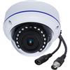DCSEC 5MP 4MP 1920P 4-in-1 Telecamera 180 gradi grandangolare di Sicurezza CCTV AHD/TVI/CVI/CVBS Analogica Resistente Telecamera di Sorveglianza Dome 5.0MP per Interni/Esterni