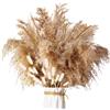 ZJTAPE Piume Erba Della Pampas - 45 pezzi Erba di Pampa Essiccata Naturale, fronde soffici di erba di Pampa marrone, Bouquet di Fiori Secchi per tavolo da matrimonio, decorazioni per la casa Boho
