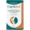 ERBA VITA GROUP SPA Cartidol 45 Compresse
