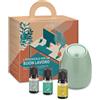 HP ITALIA SRL PURAE KIT L'ESSENZIALE PER UN BUON LAVORO DIFFUSORE BLOSSOMOLIVE + OLIO ESSENZIALE BIO