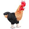lilizzhoumax Peluche di Pollo 30cm/12", Morbido Giocattolo Animale Selvatico