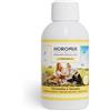 HOROMIA Profumo per Bucato Vaniglia e Mirra 250ml - Profuma Bucato per Lavatrice e Asciugatrice